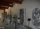 洛阳偃师商城博物馆旅游攻略 之 石刻艺术长廊