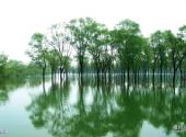 宿州五柳风景名胜区旅游攻略 之 龙泉湖