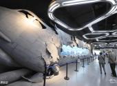 中国防空博览园旅游攻略 之 世界防空