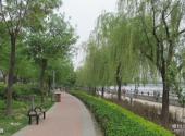北京通州运河公园旅游攻略 之 公园