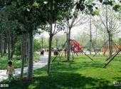天津绿道公园旅游攻略 之 儿童乐园