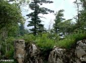 商洛牛背梁国家森林公园旅游攻略 之 六尺岭峰林景观区