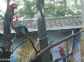 南京红山森林动物园旅游攻略 之 小红山鸟类区