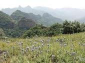 邯郸武安朝阳沟旅游攻略 之 东山