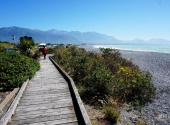新西兰凯库拉镇旅游攻略 之 半岛步道