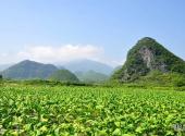 永州月岩—周敦颐故里风景区旅游攻略 之 风景