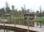 重庆璧山观音塘湿地公园旅游攻略 之 湖边廊桥