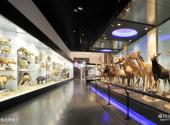 北京国家动物博物馆旅游攻略 之 濒危动物展厅