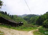 洪江雪峰山风景区旅游攻略 之 森林公园