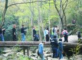 杭州神龙川风景旅游度假区旅游攻略 之 远志桥