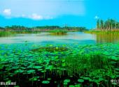 徐州潘安湖湿地公园旅游攻略 之 东部生态保育区