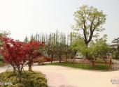 上海辰山植物园旅游攻略 之 盲人植物园