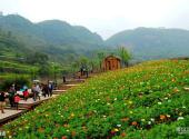 泸州纳溪花田酒地旅游景区旅游攻略 之 栈道