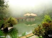 台湾阿里山景区旅游攻略 之 高山植物园