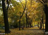 波兰克拉科夫老城旅游攻略 之 普兰迪公园