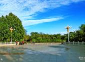 天津西沽公园旅游攻略 之 广场