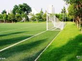 西安城市运动公园旅游攻略 之 足球场