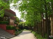 上海财经大学校园风光 之 第一教学楼