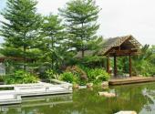 广州珠江公园旅游攻略 之 桂花园
