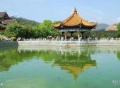 珠海普陀寺旅游攻略 之 池塘