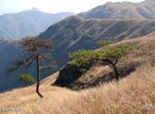 江西武功山风景名胜区旅游攻略 之 金顶观光休闲区