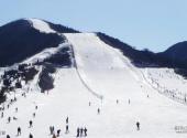 贾汪督公湖旅游区旅游攻略 之 滑雪