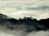 贵州雷公山旅游攻略 之 云雾