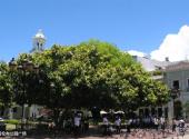 多米尼加圣多明各市旅游攻略 之 哥伦布公园广场