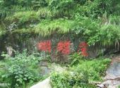杭州神龙川风景旅游度假区旅游攻略 之 蝴蝶崖