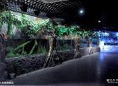 博鳌海洋馆旅游攻略 之 热带雨林区