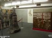 珠海市博物馆旅游攻略 之 秦陵兵马俑铜车马展