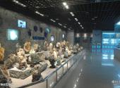 中国地质大学逸夫博物馆校园风光 之 矿物岩石展厅
