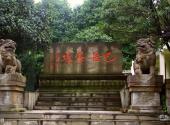 重庆巴岳山―西温泉风景区旅游攻略 之 茶园