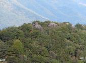 龙岩梅花山中国虎园旅游攻略 之 乌龟问天