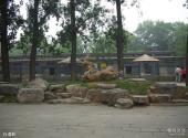 北京动物园旅游攻略 之 鹿苑