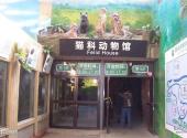 北京动物园旅游攻略 之 猫科动物馆