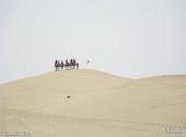 新疆罗布人村寨旅游攻略 之 塔克拉玛干沙漠