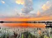 徐州潘安湖湿地公园旅游攻略 之 湿地