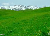 新疆伊犁河谷旅游攻略 之 托乎拉苏草原