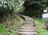 宜丰洞山风景名胜区旅游攻略 之 登山道