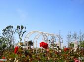 锦州世界园林博览会旅游攻略 之 风景庭院