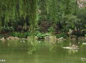 重庆动物园旅游攻略 之 水禽湖
