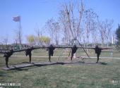 天津萨马兰奇纪念馆旅游攻略 之 奥林匹克雕塑公园