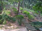 珠海唐家共乐园旅游攻略 之 百步梯