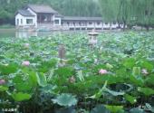 北京团结湖公园旅游攻略 之 云山曲径