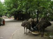 重庆动物园旅游攻略 之 鸟语林