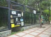北京动物园旅游攻略 之 犬科动物区