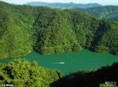 百色澄碧湖风景区旅游攻略 之 水果绿洲