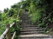 广西凤山岩溶国家地质公园旅游攻略 之 登山步道