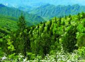 北京鹫峰国家森林公园旅游攻略 之 寨儿峪谷壑景区